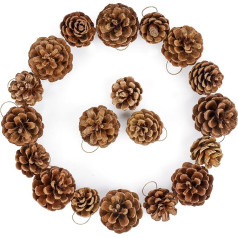 36 x Christmas Pine Cones Natural with 3 Sizes, Pine Cones Hanging Ornaments 3 cm to 6 cm Pine Cones Natural Christmas Decoration for Hanging Home Christmas Tree Winter Decoration