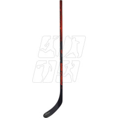 Fishman Kompozīta stabs Fischer RC One IS1 Clear J H125523,42,030 / 025