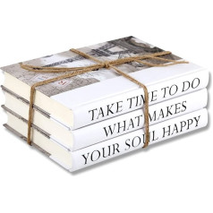 3 Pieces Decorative Book Set, Fashion Decoration Book, Genuine Blank Hardcover Book for Decoration, Fashion Designer Quote, Fashion Designer Book, Stacking Books for Coffee Tables and Shelves