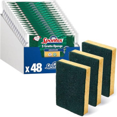 SPONTEX - Durable Sponge Sponges - 48 Green Scouring Pads (16 Packs of 3) 2 x Durable Dish Sponges