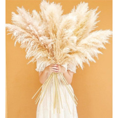Pack of 10 Large Pampas Grass XXL, Pampas Grass Decoration Large for Boho Decoration, Living Room, Table, Bedroom, Wedding, Bathroom (115 cm)