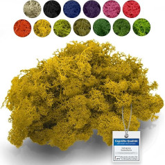 sphagnum-shop.com Real Decorative Moss Reindeer Moss in Yellow 500 g for Model Making Crafts Iceland Moss Preserved