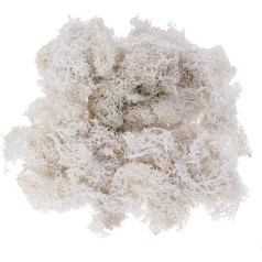 HEALLILY 50g Preserved Fresh Moss Reindeer Flower Moss for Wedding Party Fairy Garden Terrariums DIY Craft Floral Project (White)