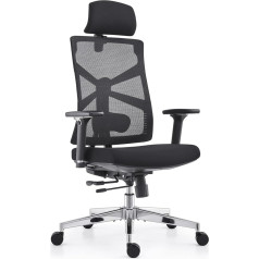 Holludle Ergonomic Office Chair with Adaptive Backrest, Desk Chair with 4D Armrests, Adjustable Seat Depth, Lumbar Support and 2D Headrest, Breathable Mesh Executive Chair, Black