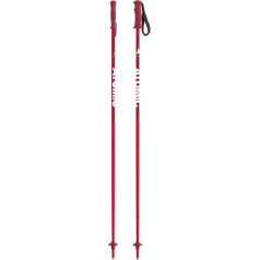 Salomon Unisex-Youth Amt Jr Alpine Poles