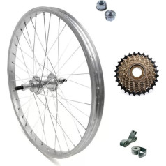Rear Wheel / Rim 26 x 1.75 Inch + Freewheel 6 Speed Bicycle Standard Connection Aluminium/Steel 26 x 1.75 Dutch Bike - City Bike - Includes Fixing Nuts and Flap