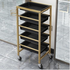 Hairdressing Trolley Cosmetic Trolley with Wheels Hairdressing Trolley Tattoo Trolley Storage Trolley Cart (Gold)