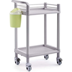 YGCBL Multifunktionaler Aufbewahrungswagen, Recyclingfahrzeuge, 2 Tiers Spa Salon Beauty Trolley Friseur Färbewerkzeug Aufbewahrungswagen Mit Rädern, Grau, Bremsendesign, Sammelfahrzeuge, Style-2,Sti