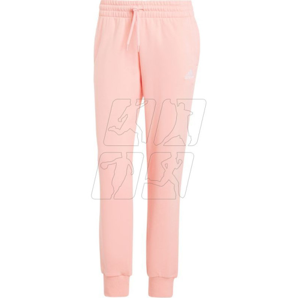 Lineāras franču frotē bikses ar manšetēm W IY9200 / XS