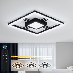 Sky angle Ceiling Light with Remote Control, Dimmable Black Modern Ceiling Light 40W 4800LM LED Lamp for Living Room Bedroom