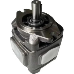 Hydraulic Gear Pump HYDRAULIKPUMPE CP0-08-P-10R CP0-10-P-10R CP0-13/16/20-P-10R CP1-25-P-10R CP1-32/40/50/63-P-10 ZAHNRADPUMPE(CP0-16-P-10R)