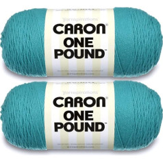 Caron Aqua Yarn 2 Pack 16oz Acrylic 4 Medium Worsted 800m Knitting Crochet and Crafts