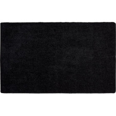Astra Doormat Indoor Non-Slip – Easy-Care Dirt Trapper Mat Washable – Door Mat PVC-Free Clean Mat – Absorbent Doormat Black 50 x 80 cm
