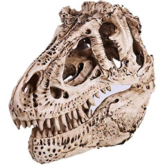 VOANZO Single Resin Replica Dinosaur Tooth Skull Fossil Photography Prop Teaching Tools Home Decor Brown
