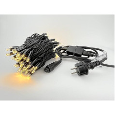 LEDZEIT - Professional Series - LED Base Fairy Lights with Power Cable, 10 m, 100 Warm White LEDs, Continuous Light, Expandable, Extra Robust, Professional System, Outdoor and Indoor, for Buildings,