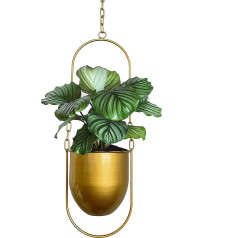 Hanging Planters Metal Plant Hangers, Hanging Basket Metal Modern, Hanging Planters for Indoor Plants, Boho Modern Plant Hangers, Minimalist Home Decor (Gold)
