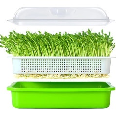 LeJoy Garden Seed Germination Tray BPA Free PP Soil Free Large Capacity Healthy Wheatgrass Grower with Lid Sprouts Set 34 x 25 x 12 cm Green