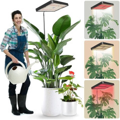 Plant Lamp LED Full Spectrum, 242 LEDs 6500 K Grow Lamp for 160 cm Indoor Plants, 3-Colour Plant Light, 360° Gooseneck, 4/8/12H Timer, Height Adjustable, 1-10 Level Brightness Remote Control