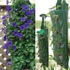 4 x Strawberry Hanging Grow Bags