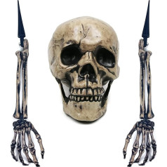 Sunnyglade Realistic Skeleton Stakes Halloween Decoration Scary Ground Breaker Skull and Skeleton for Outdoor Yard Lawn Stake Garden Cemetery Decoration