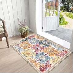Durable Doormat 60 x 90 cm, Durable Door Mat, Dirt Trapper Washable Front Door, Thin Entrance Rug, Non-Slip Dirt Trapper Door Mat for Hallway, Entrance, Pet, Colourful