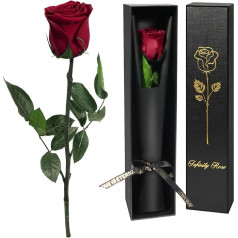 Yamonic Mother's Day Gifts for Mum, Infinity Rose Mother's Day Gift, Eternal Rose Mum, Real Rose with Stem Gifts for Women, Eternal Flowers, Preserved Rose in Gift Box