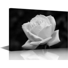 TISHIRON 1 Piece Black and White Wall Pictures for Living Room White Rose Paintings on Canvas Wall Decor Art Blooming Floral Bedroom Wall Art Modern Artwork Framed Ready