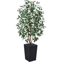 VeriNatural Ficus Artificial 150 cm - Artificial Plant Large with Real Wood Trunk, Black Woven Planter, UV-Resistant Artificial Tree for Indoor and Outdoor Use - Perfect for Living Room, Balcony