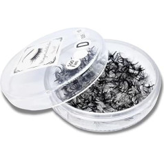 6D | 0.07 Handmade Eyelash Fans | 500 Ready-to-Use Fans or 3000 Volume Eyelashes I Handmade Fans for Eyelash Extension (D Curl, 10 mm)