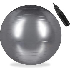 Relaxdays Gym Ball Fitness Ball Yoga & Pilates Office Balance Ball with Air Pump Diameter 65 cm Choice of Colours, silver