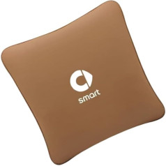 FANSHIDAN 2in1 Auto Kissen Decke für Smart ForTwo Cabrio Brabus 2008 2009 2010 2011 2012, 2-in-1-Kissenbezug, 2in1 Kuscheldecke Travel, Flauschig Weiches Reisekissen Umwandelbar Zur Reisedecke