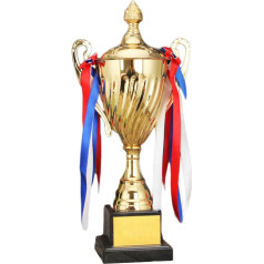 SWAYVES Award Trophy Cup Winning Trophies Children's Small Trophies Keepsake/29 cm