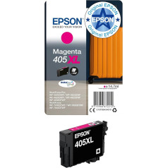 Epson Original ink case.