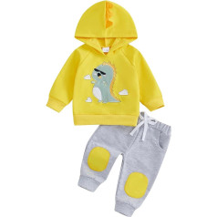 Toddler Baby Boys Outfit Long Sleeves Embroidery Dinosaur Hoodie Elastic Waist Sweatpants Autumn Outfit