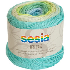 100% Organic Cotton, Multicolour Yarn, 125 g, 450 m, Needles 2.5-3, Sesia Iride, Fantasy Yarn for Knitting and Crochet (1, Multicoloured - 2814)