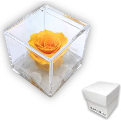 Stabilised Rose Yellow Scented Everlasting Rose, Gift for Women and Mother's Day Gift, Wedding Gift, Birthday, Confirmation, Christening Gifts for Girlfriend (Gleb - A 1053)