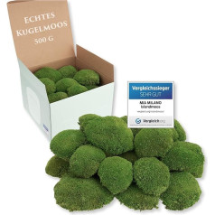 Ball Moss Natural Green Preserved 500 g Real Bollenmoss for Moss Pictures & Easter Baskets Durable Moss for Crafts Weatherproof Natural Green Iceland Moss