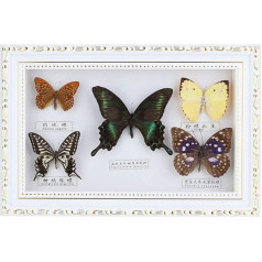 Acouto Butterfly Copy, Exquisite Butterfly Copy, Craft Birthday Gift, Home Decoration, Ornament for Valentine's Day, Christmas, Birthday, Wedding (White Box)