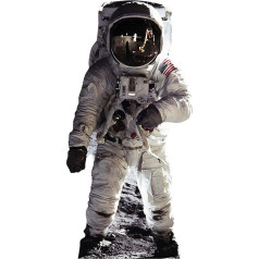 Star Cutouts Cut Out of Buzz Aldrin Astronaut
