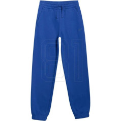 Bikses CAS M1245 Jr JWAW25TTROM1245 36S / 140 cm