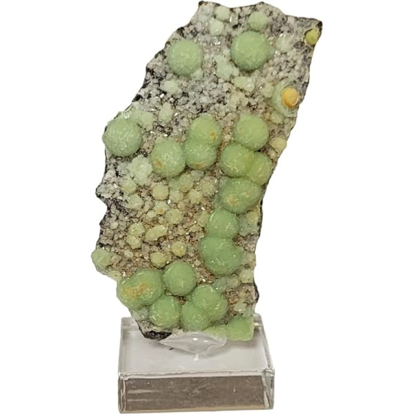 Wavellite and Paravauxite North America Mineral Fossils Stone Healing Crystals USW70 Geofossiles