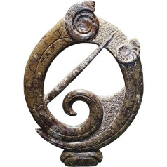 Orthoceras and Goniatite Round Sculptur Ammonite Fossil Fossils ORT49