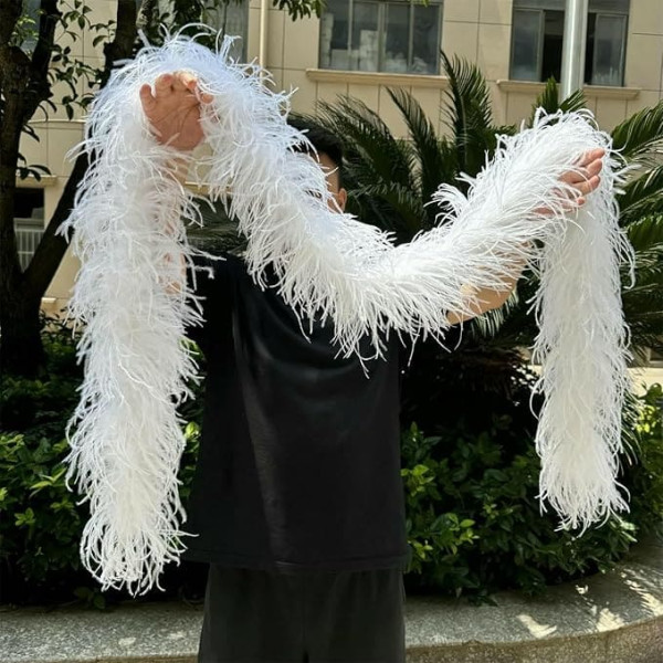 6-fädiger Boas-Schal aus Straußenfedern, 1 m, 3,0 m, naturfarbener Federschal für modische Kleidung, Nähzubehör, Weiß, 6-fädig, 2 Meter