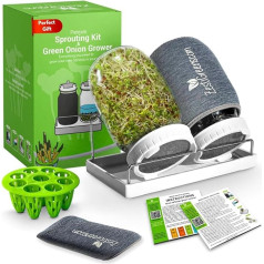Premium Sprouts Growing Kit & Green Onion Offspring with 2 Preserving Jars & Superior Sprout Lids, Perfect Sprouter Set for Growing Broccoli, Alfalfa & Beans