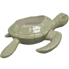 Comfy Hour 9 Inch Dolomite Small Sea Turtle Succulent Bud Flower Pot Planter for Garden Decoration, Light Green, Ocean Voyage Collection