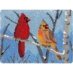 kingsea Latch Hook Rug for Knotting Yourself, 50 x 38 cm Latch Hook Set, DIY Self-Knotting Set for Adults, Bird