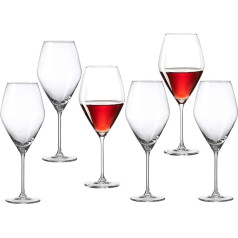 Ritzenhoff & Breker Burgundy Salsa Set of 6 Red 20oz Glass Tumblers