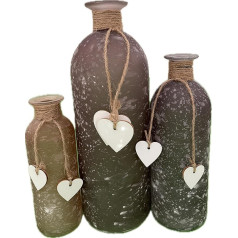 Set of 3 Decorative Glass Vases with Heart Flower Vase - Satin Glass