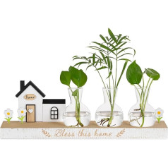 Glasseam Propagation Station for Housewarming Gift: Small Vase Glass with Wooden Tray for Indoor Home Living Room Table Decoration - Flower Vase Modern Terrarium Plants for Friends Mum Plant Lovers