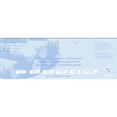 Clairefontaine 496011C Pack with 5 Drawing Sheets Pastel Mat Laminated on Cardboard 1800 µm, 50 x 70 cm, Ideal for Drying Techniques and Pastels) Brown
